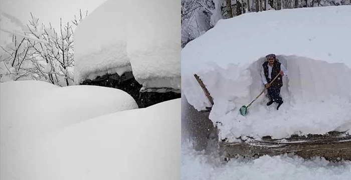 Şemdinli'de evler kara gömüldü