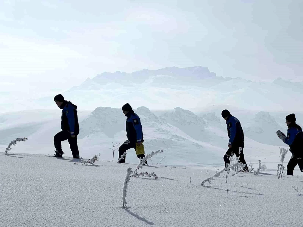 Yüksekova'da Kar Yağışı Nedeniyle Hayvanlara Yemleme Çalışması