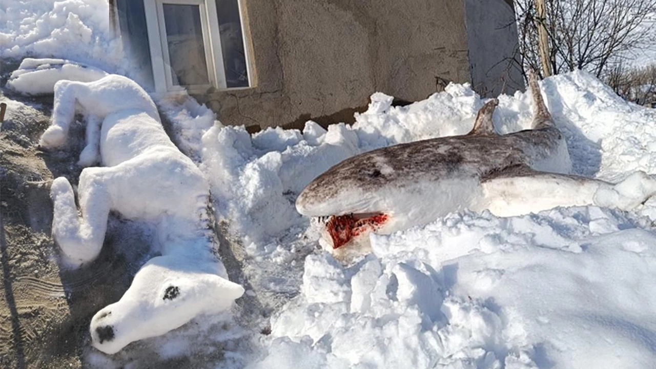 Resim öğretmeni, karla yeteneklerini sergiledi