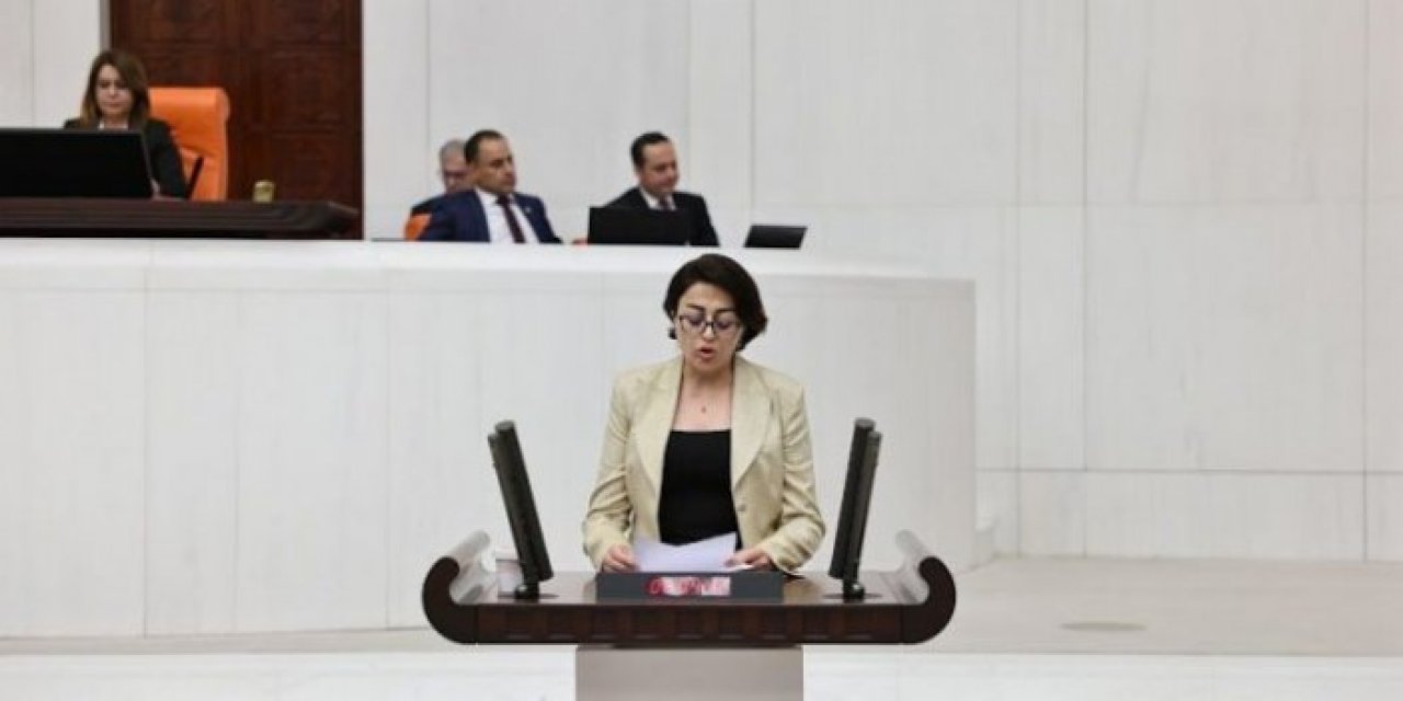 Bartın, Hakkari'deki yol sorununu meclise taşıdı