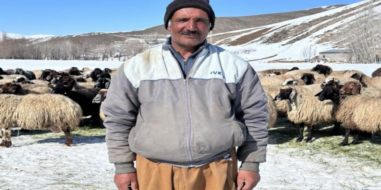 Hakkari'de ithal çoban dönemi