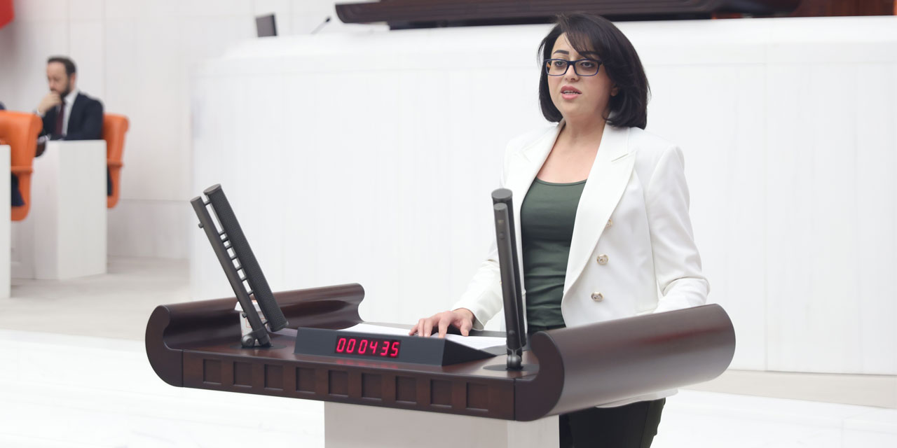 Hakkari Milletvekili Bartın, Seçimi boykot edecek olan mezrayı meclise taşıdı