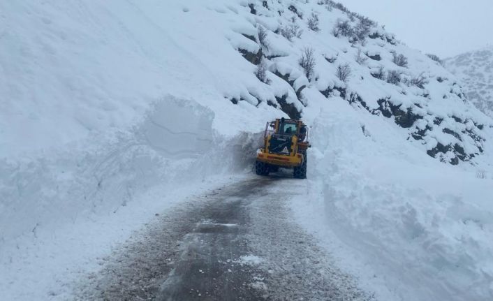 Hakkari’de 17 köy ve 30 mezra yolu ulaşıma kapandı