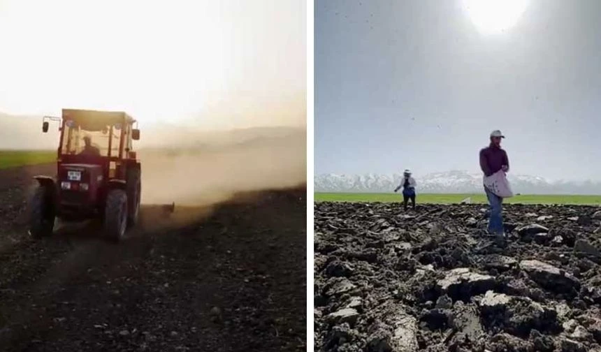Vali Çelik: Yüksekova'nın ovasında ekim başladı