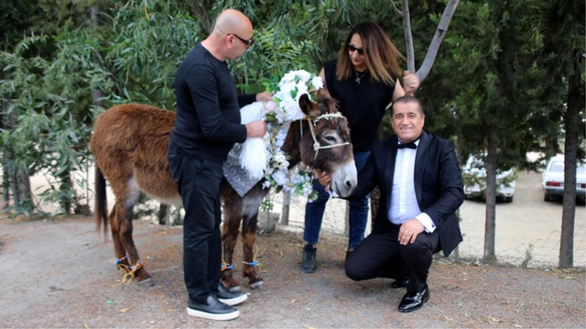 Türkücü Aydın Aydın 'eşek Nikahı'nda türkü söyledi