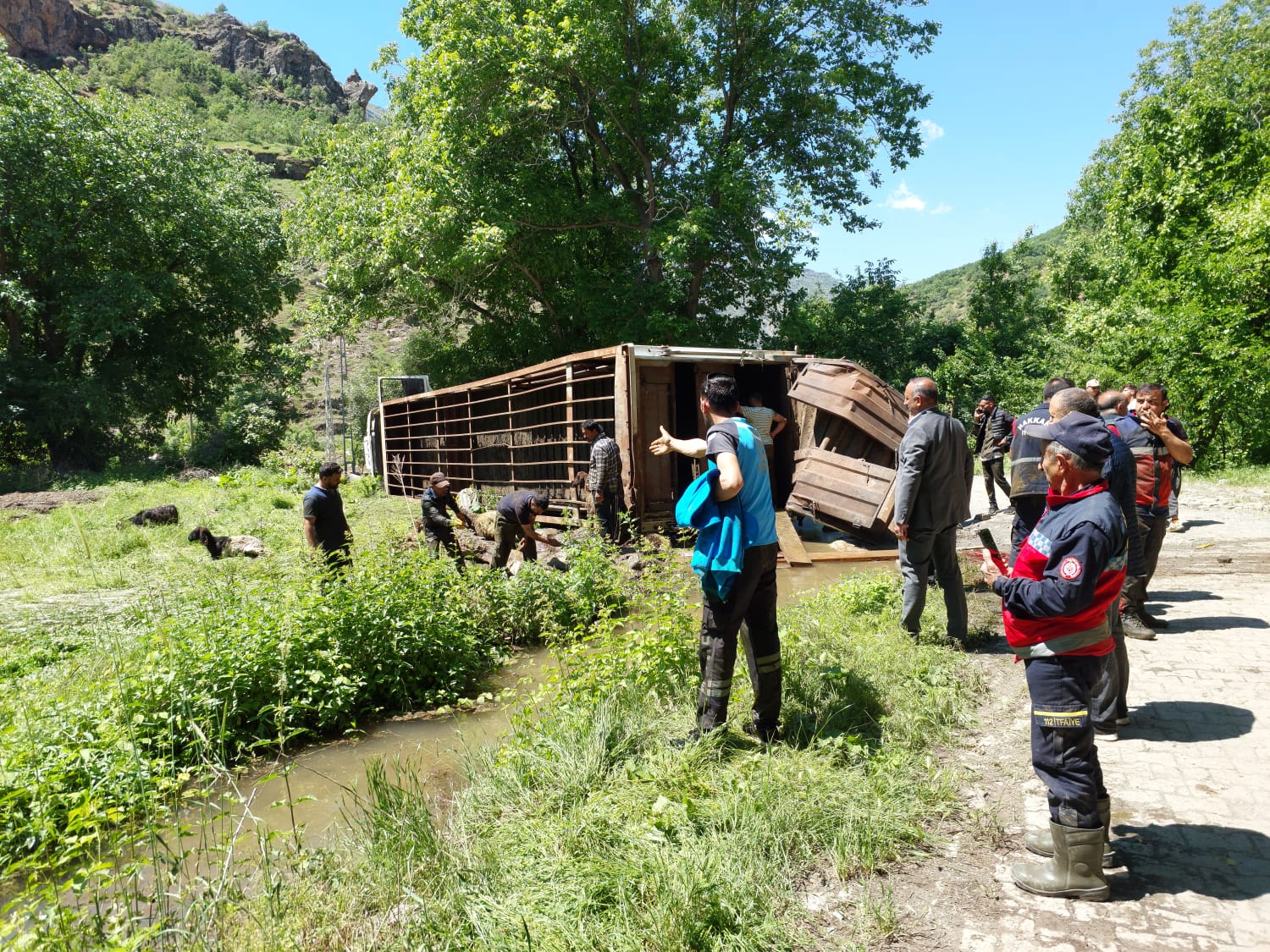 Hakkari-Çukurca karayolunda Tır devrildi: Onlarca koyun telef oldu