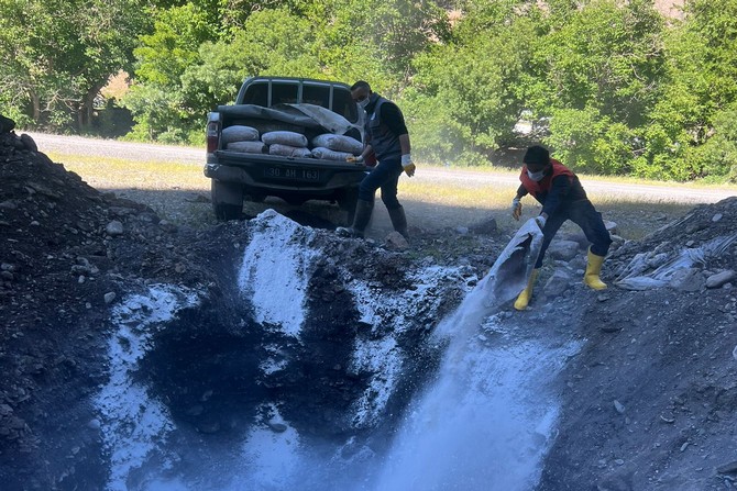Hakkari-Çukurca karayolundaki Kazada telef olan hayvanlar gömüldü