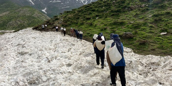 Gare Köyü sakinleri: Yasaklı yaylalar hayvancılığa açılsın