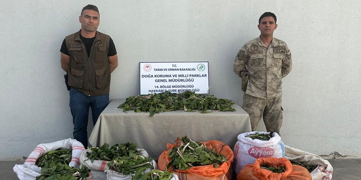 Hakkari soğanını İran’a kaçırırken yakalandılar