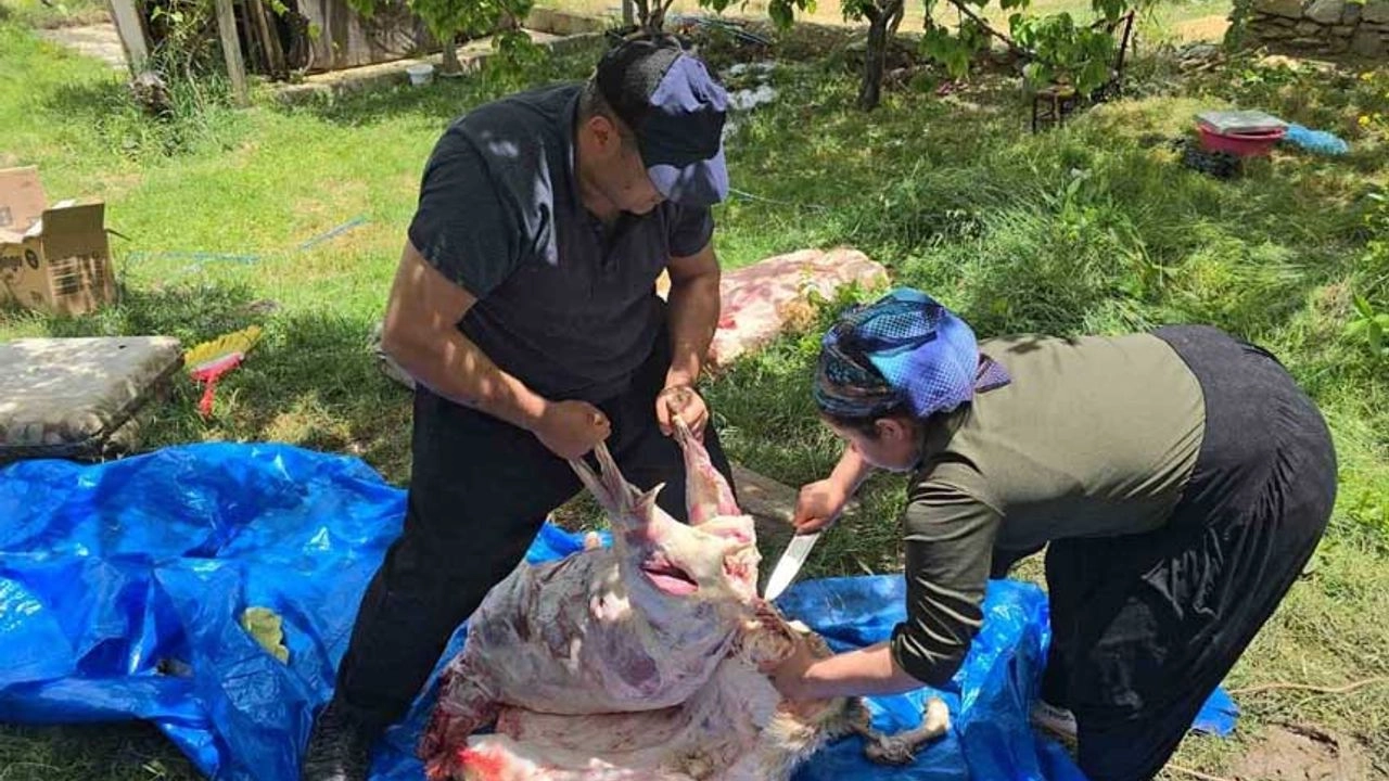 Hakkari'de 3 çocuk annesi maharetiyle kasaplara taş çıkarttı