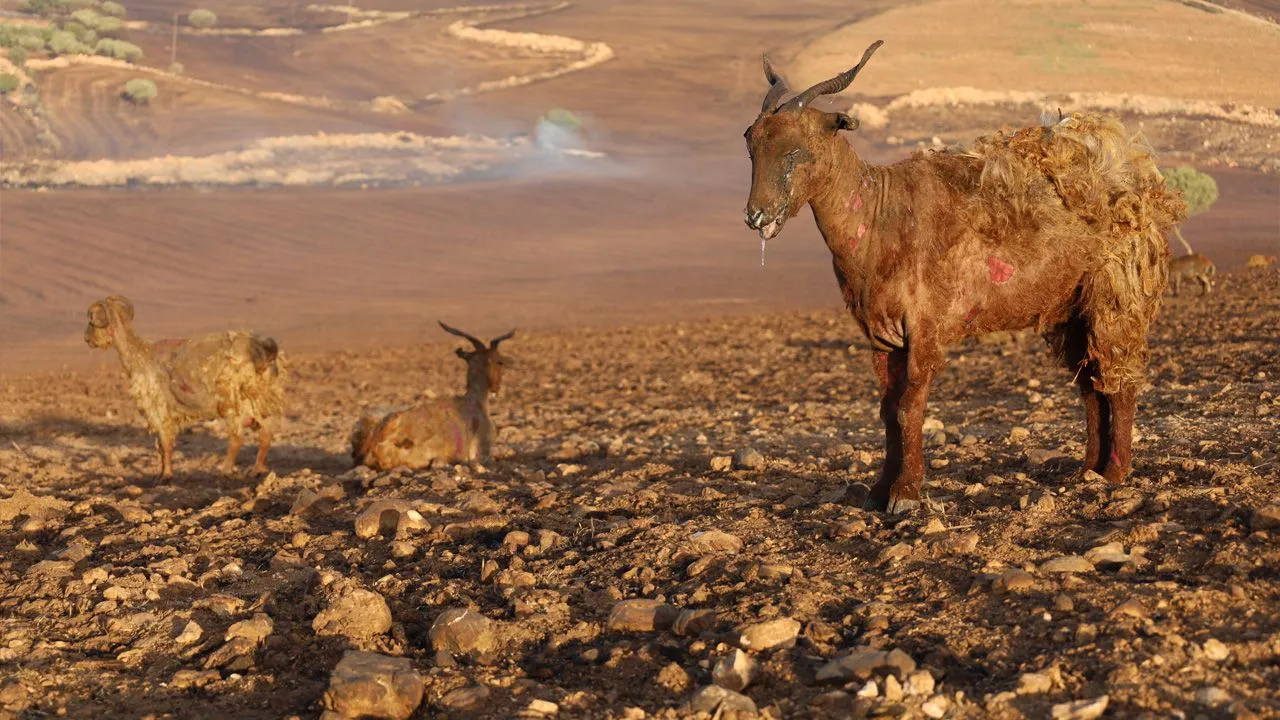 Diyarbakır yangınından ilk kareler: Müdahale gecikti, bilanço ağır