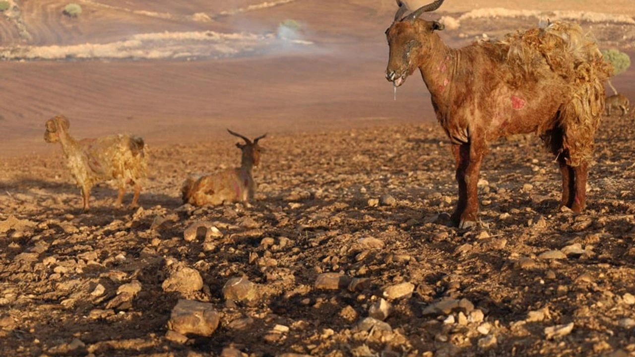 Bilirkişi raporuna göre yangının nedeni belli oldu