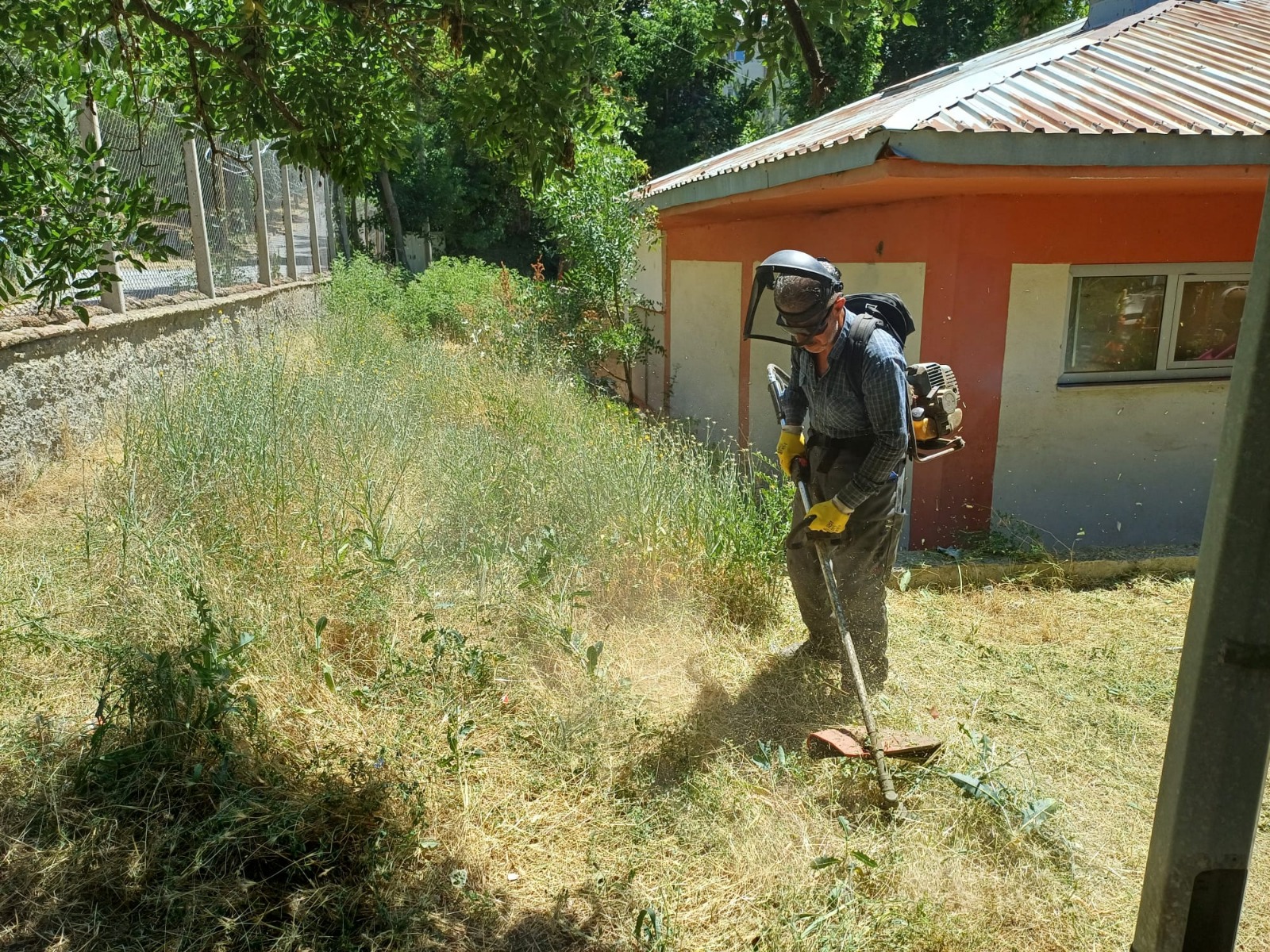 Belediye ekiplerinden ot biçme mesaisi