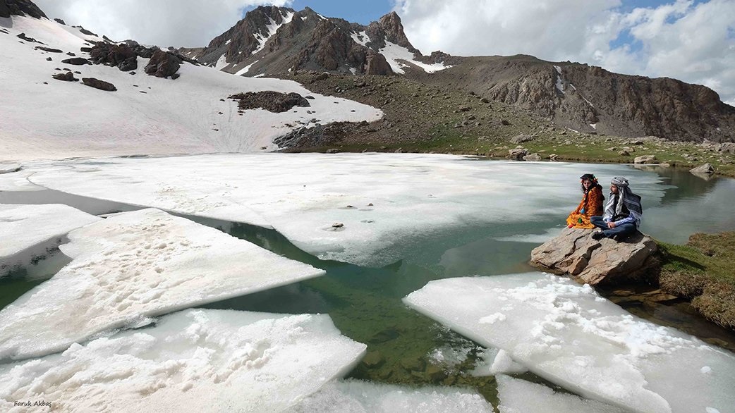 Hakkari'de korkutan tablo! Son 30 yılda yüzde 50'den fazlası yok oldu