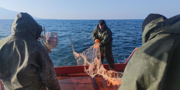 Van’da inci kefali av yasağı bitti