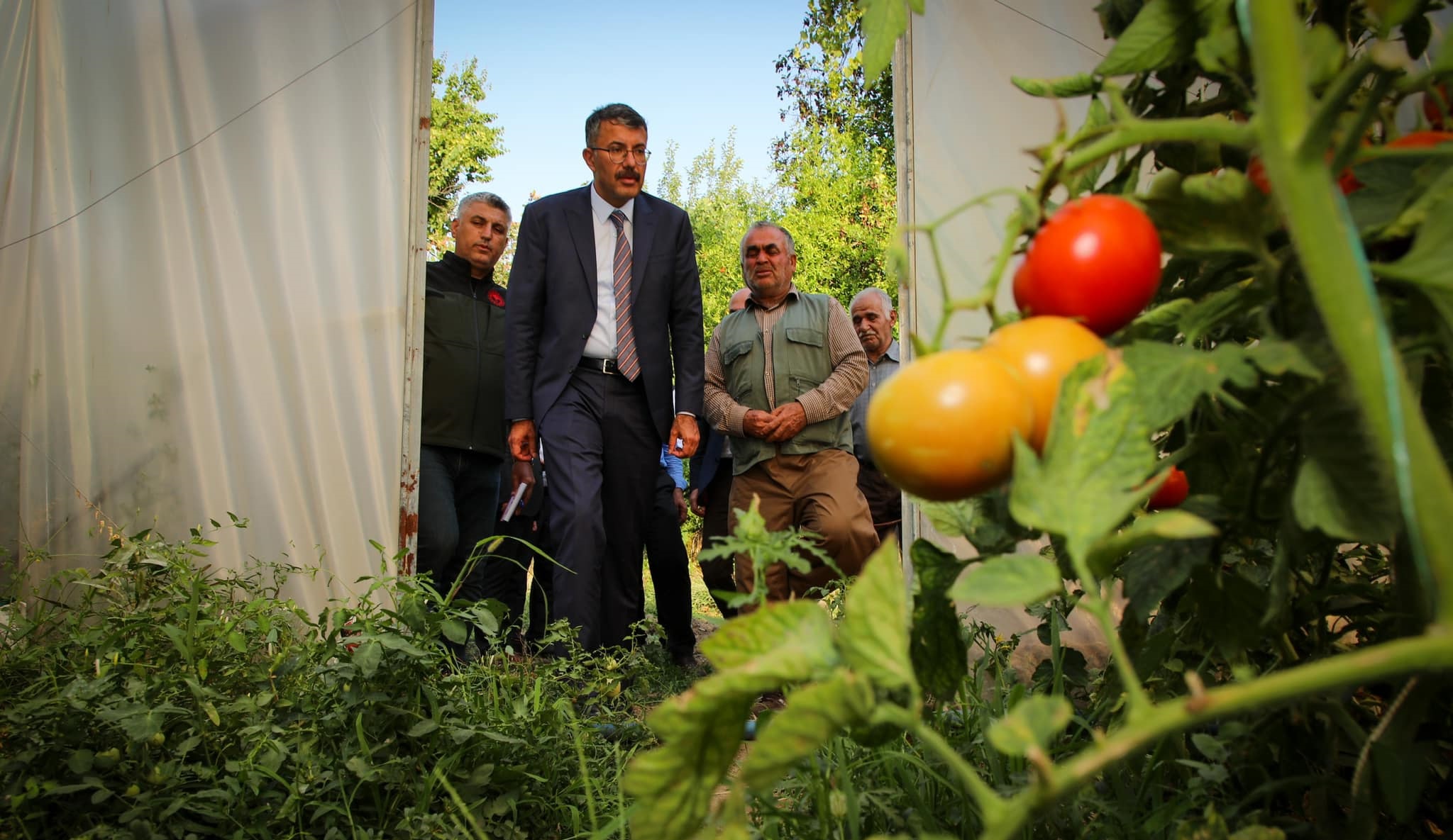 Vali Çelik, Çukurca seraları gezdi
