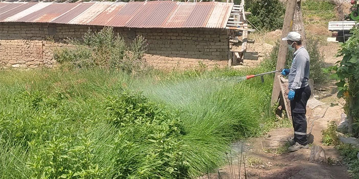 Hakkari'de haşerelerle mücadele sürüyor