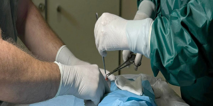 Hakkari'de kedi ve köpekler kısırlaştırılıyor