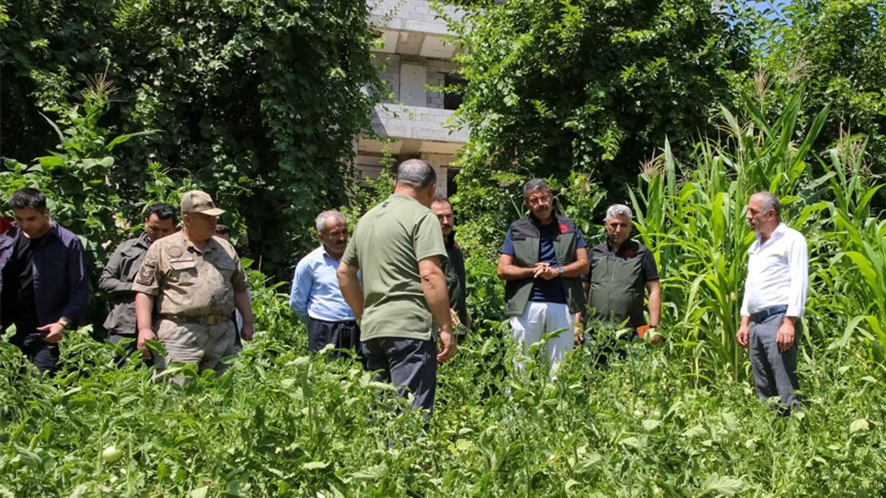 Vali Çelik: Hakkari’nin verimli toprakları değerlendirilecek”