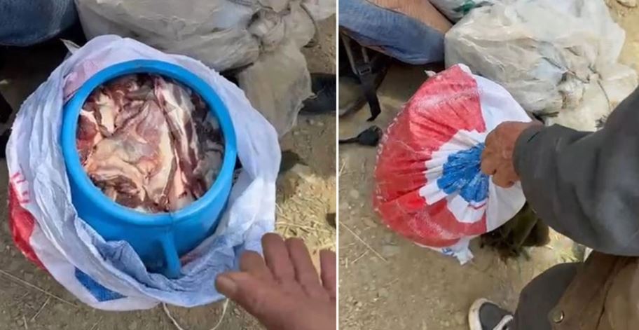 Hakkari'de dağ keçisi avlayan 3 kişiye rekor para cezası