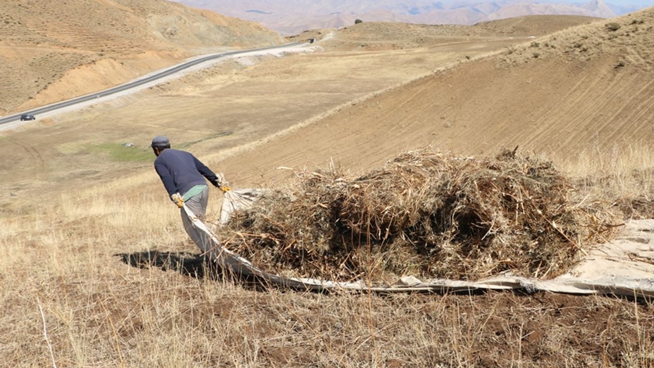 Hakkarili besicilerden ot balyaları taşımada "brandalı" çözüm