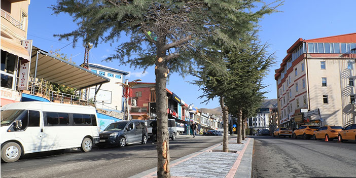 Hakkari'de orta refüjler yenilendi