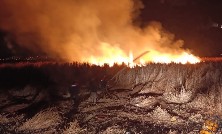 Yüksekova Nehil sazlığında yangın çıktı