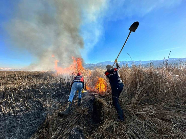 Yüksekova'da Nehil Sazlığı'nda yangın