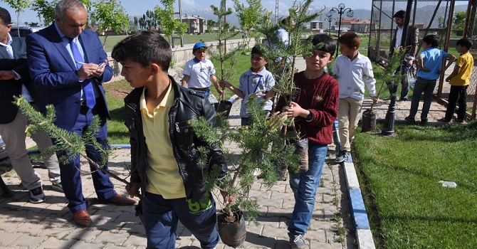 Yüksekova Belediyesi 13 Bin Fidan Dağıtacak