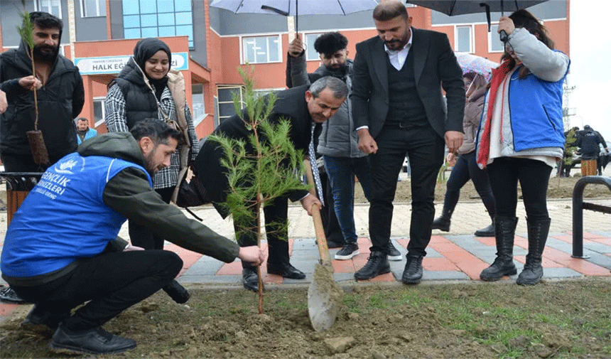 Yüksekova'da 300 fidan dikildi