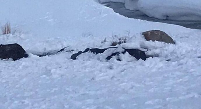 Acı Haber: Donmuş 3 Ceset bulundu