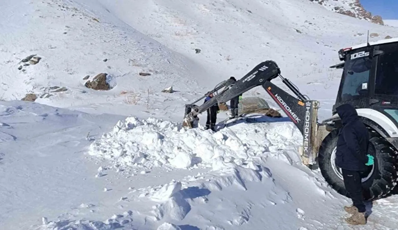 Hakkari 3 bin 500 rakımda zorlu çalışma