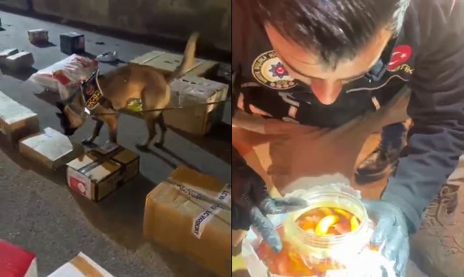 Hakkari'de uyuşturucu operasyonu!