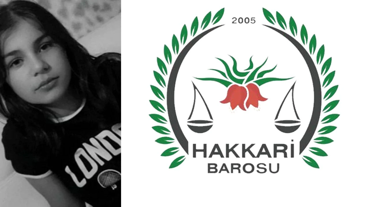 Hakkari Barosu: Başıboş köpeklerin tehdit oluşturduğu bölgede önlemler alınmalı