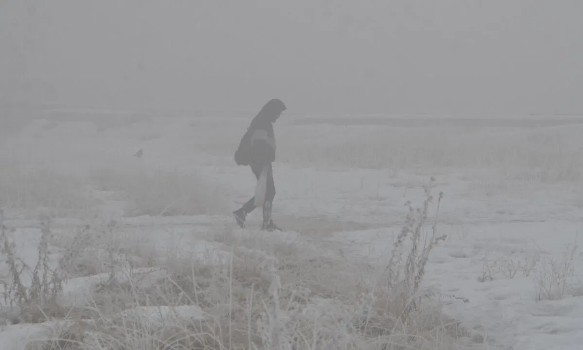 Yüksekova'da yoğun sis ve dondurucu soğuk etkili oldu
