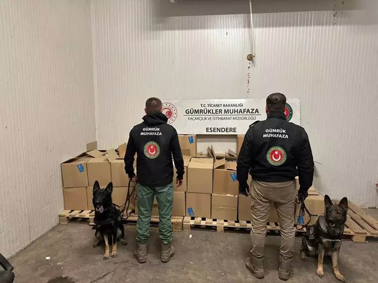 Hakkari'de 608 Kilo Uyuşturucu Operasyonu!