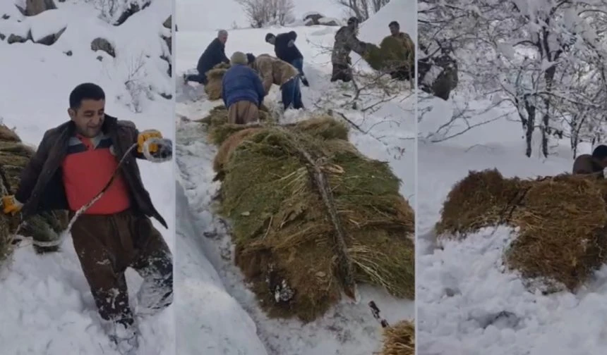 Derecik’te çiftçilerin zorlu kış mesaisi