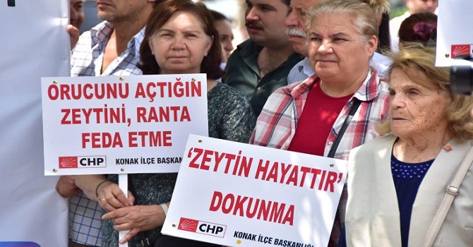 AK Parti: Zeytinlik düzenlemesi geri çekildi!