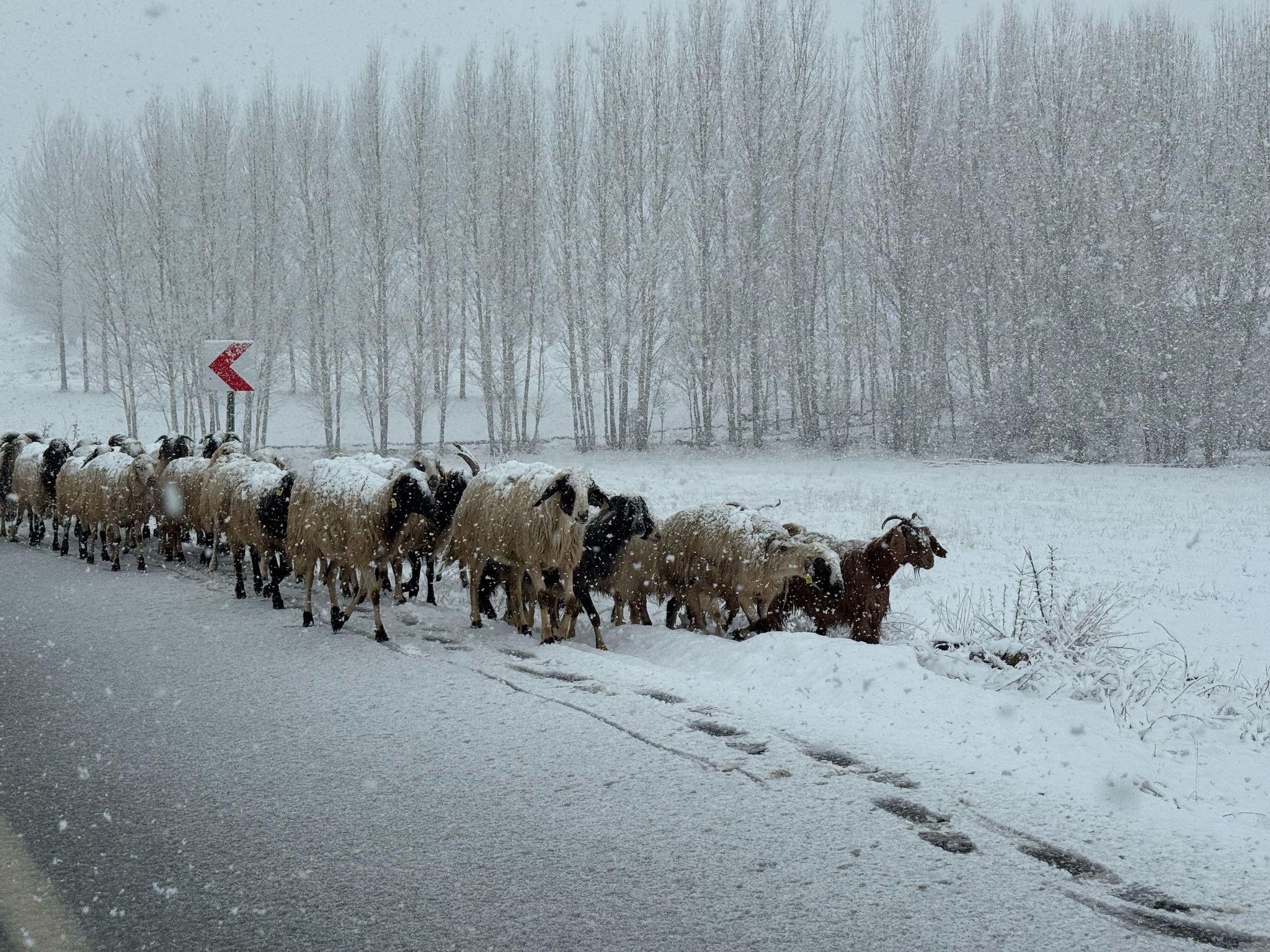 Hakkari-Van karayolunda kar yağışı etkili oldu