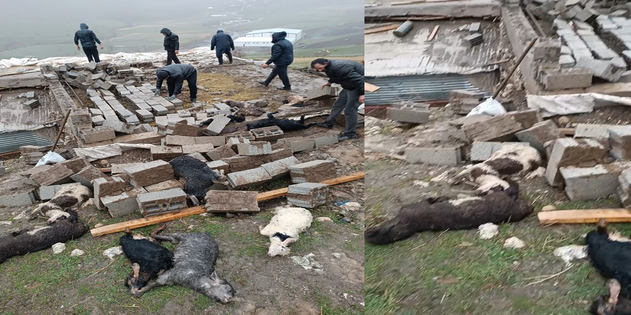 Hakkari’de Fırtına Felaketi: Ahır Yerle Bir Oldu, 25 Kuzu Telef
