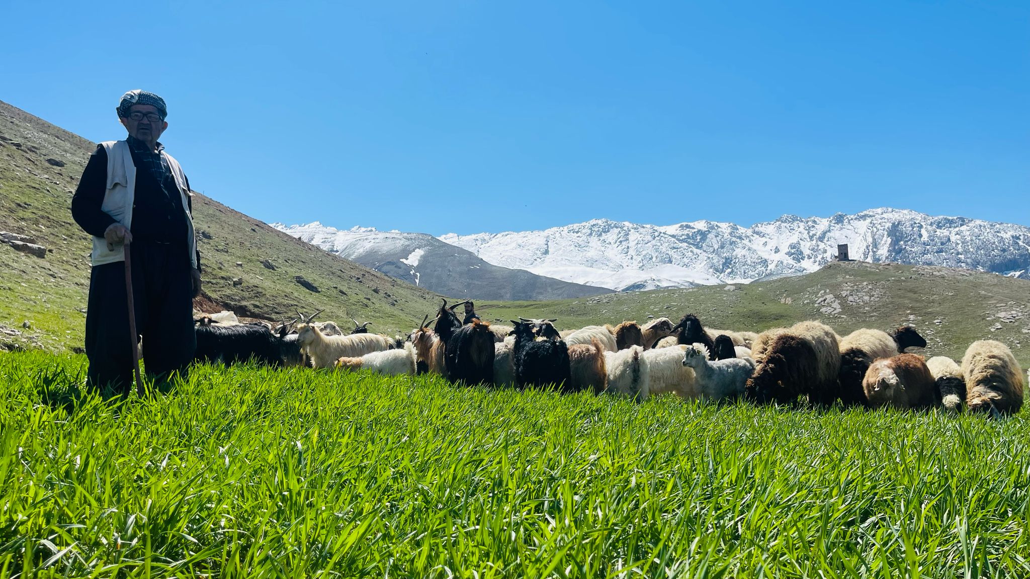 Hakkari’de İki Mevsim: Dağda Kış, Vadide Bahar