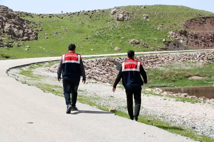 Hakkari'de Ters laleleri jandarma ekipleri koruyor