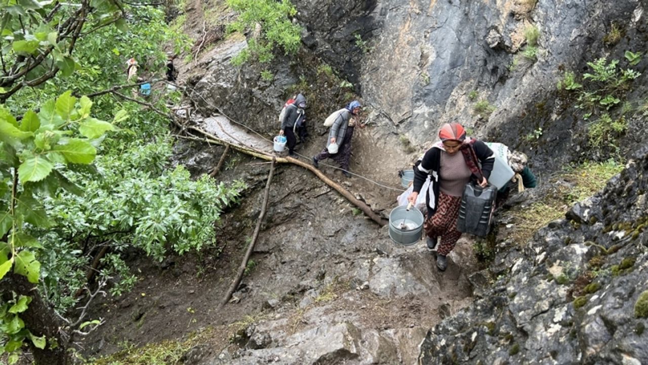 Hakkari'de berivanların zorlu yayla yolculuğu başladı
