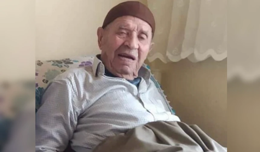 Hakkari’de Asırlık Çınar Hayata Veda Etti