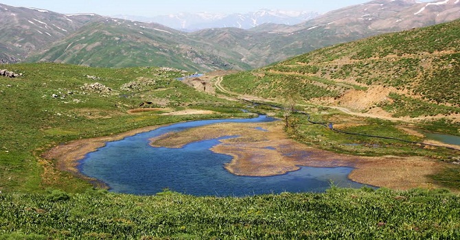 Golan Gölü can çekişiyor