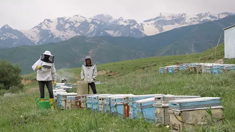 Adanalı çiftin 27 yıldır Hakkari'ye ‘Arı’ yolculuğu