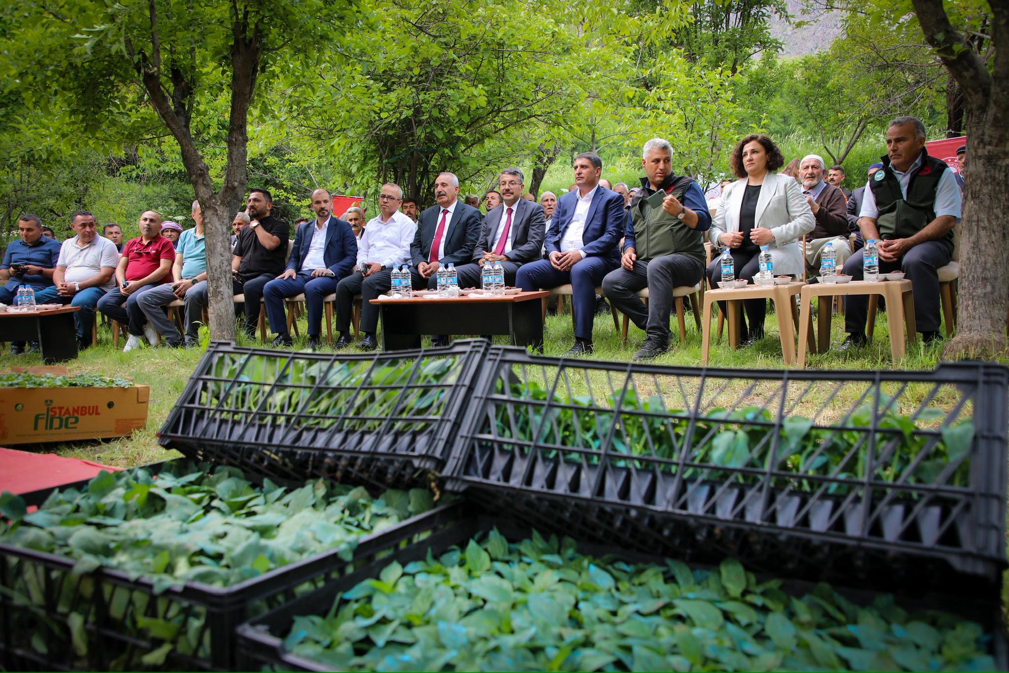 Hakkari’de Sebzeciliğe Büyük Destek: 402 Bin Fide Dağıtıldı