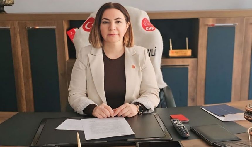 Başkan Çakırbeyli sınır kapılarındaki sorunları dile getirdi