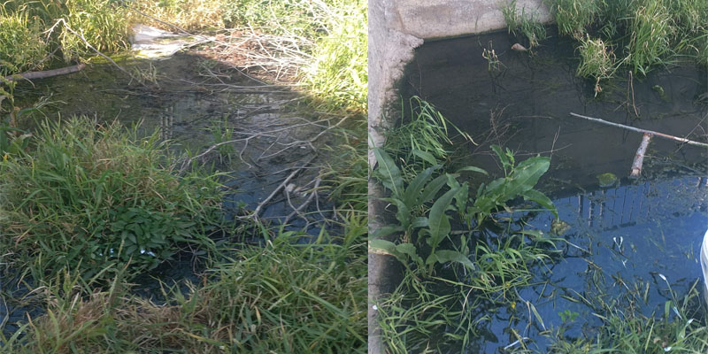 Durankaya'da Koku İsyanı: Engelli Hastalar Dahi Dışarı Çıkamıyor