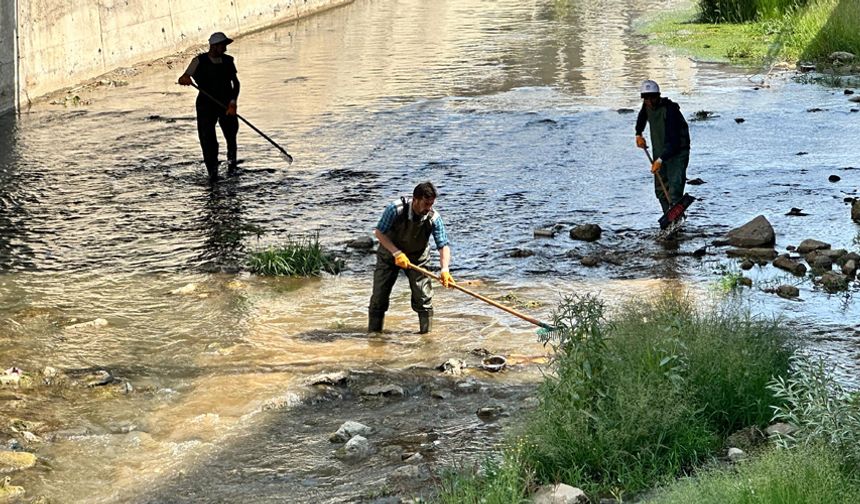 Yüksekova Belediyesi'nden temizlik seferberliği